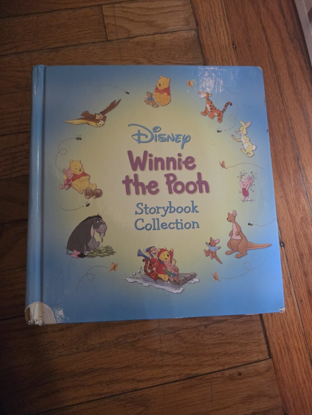 Disney's: Winnie the Pooh Storybook Collection by Kathleen Zoehfeld and Disney